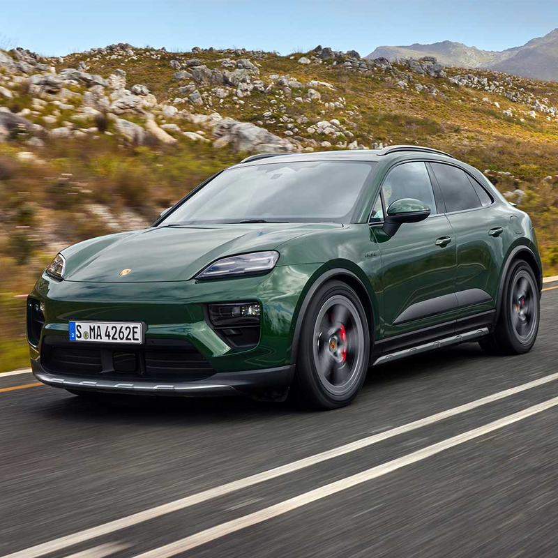 Macan